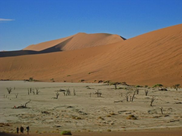 The Dead Lake